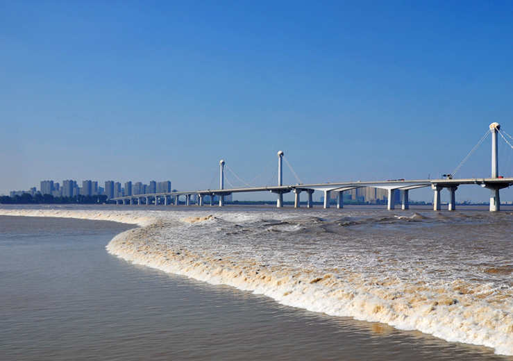 杭州市钱塘区