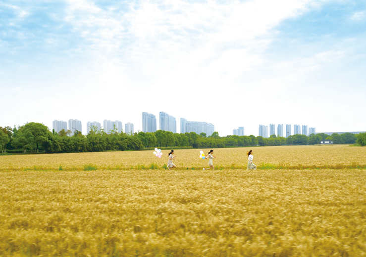 杭州市钱塘区
