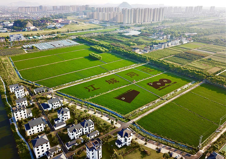 杭州市钱塘区