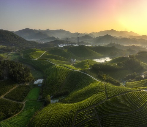 径山茶山