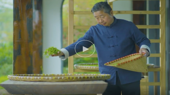 寻味中国丨&ldquo;径&rdquo;待其香 一片叶子的&ldquo;游记&rdquo;