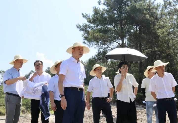 7月15日上午,遂昌县委书记张壮雄赴湖山乡调研“天工之城——数字绿谷”项目建设情况,一线“把脉问诊”开良方,现场破题解题提质效。 拍友 周懿梅.jpg