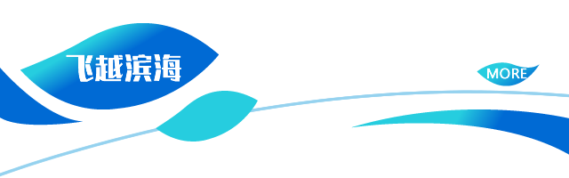 飞越滨海