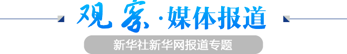媒体报道