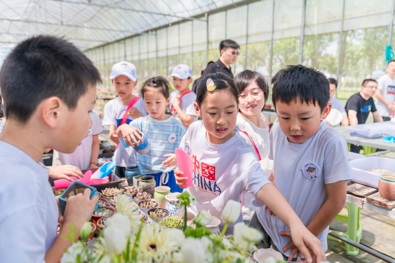 DSC07348.jpg DSC07348.jpg