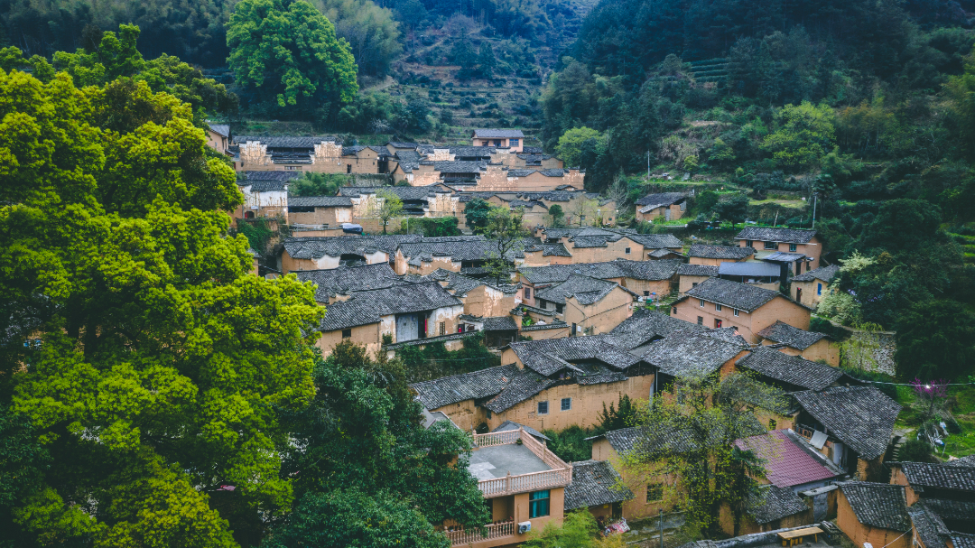 浙江两地上榜！首批文化产业赋能乡