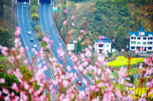 黄衢南高速助力共富路 “钱江源”