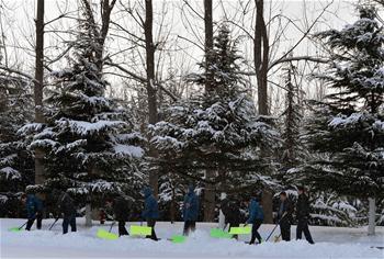 山东威海发布暴雪黄色预警