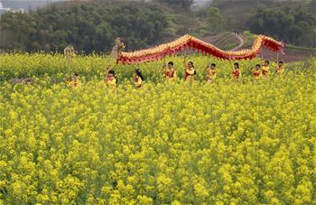 “龙腾花海”