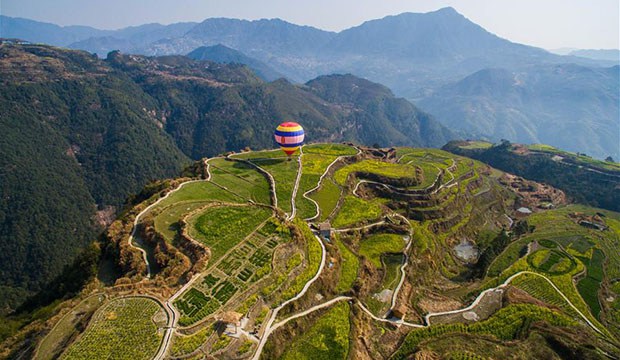 “创意油菜花”绽放高山梯田 生态旅游打造山村“金名片”