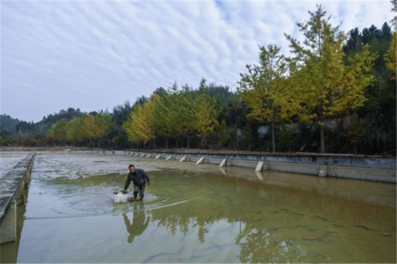 杭州临安：改善水源环境 助力生态养殖