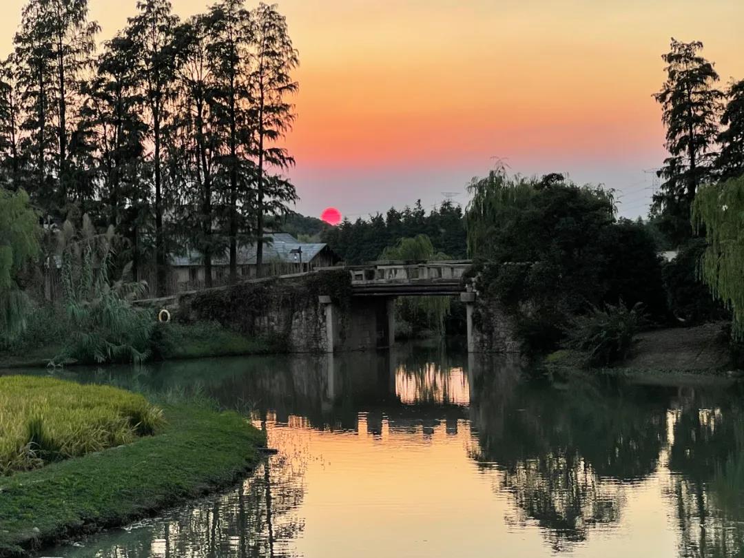 看到了你的别样风情！