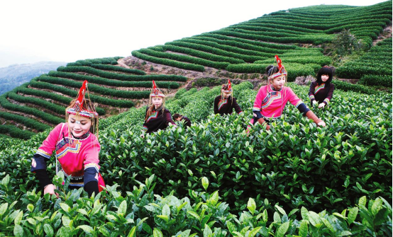 聚力&ldquo;缩差距&rdquo;，乡村&ldquo;强富美&rdquo;