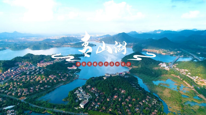 最江南·醉杭州丨湖韵里崛起的“森林硅谷”