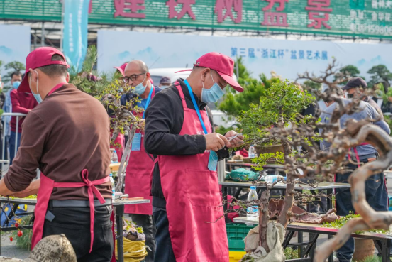 浙江金华：第20届中国(金华)花卉苗木博览会在金东区开幕