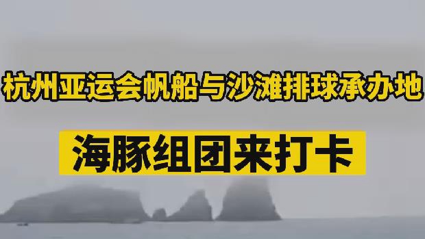 微观浙江丨宁波象山海域海豚戏水，网友：海豚想来看亚运了