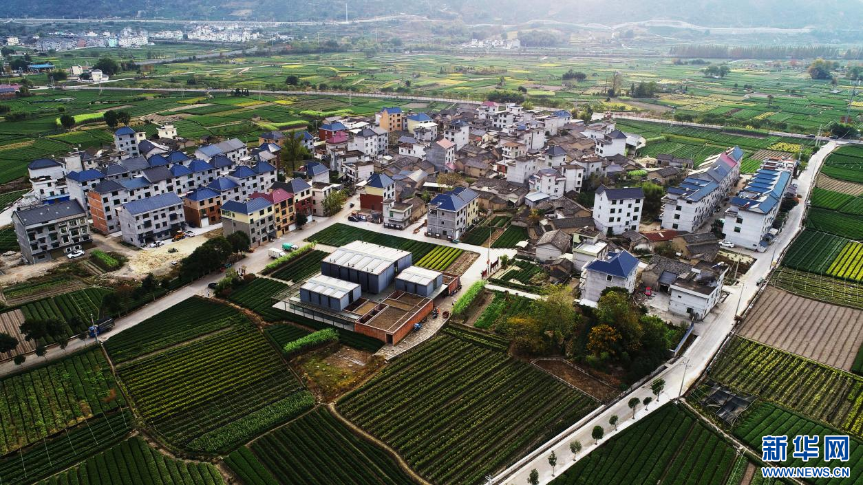 神州答卷丨绘就美丽中国“之江画卷”——在村里读懂“千万工程”